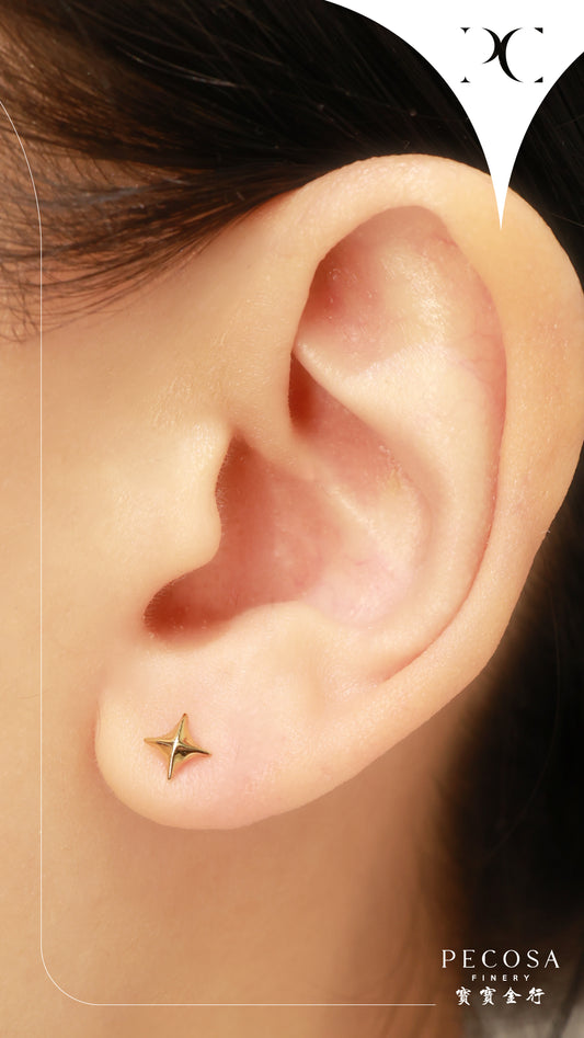 Sparky 18KY earrings